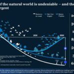 Real Mckinsey Slides Presentation Template & Google Slides Theme 13