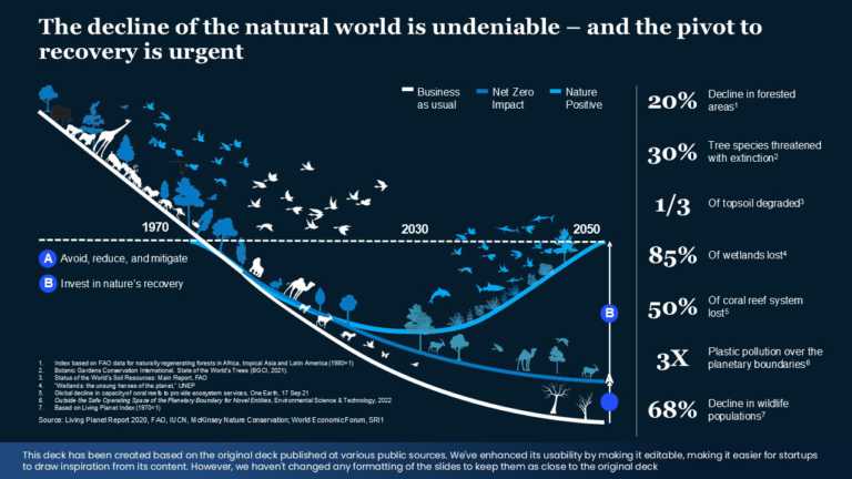 Real Mckinsey Slides Presentation Template & Google Slides Theme 13