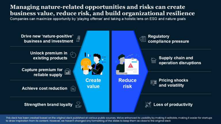 Real Mckinsey Slides Presentation Template & Google Slides Theme 1