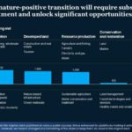 Real Mckinsey Slides Presentation Template & Google Slides Theme 2