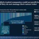 Real Mckinsey Slides Presentation Template & Google Slides Theme 3